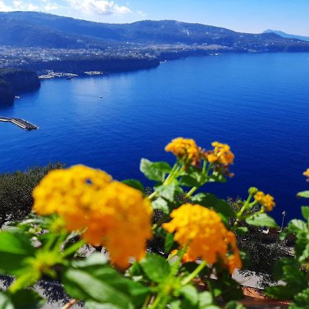 Bella Vista House-Sorrento Coast - Free Parking-Solarium Apartamento Vico Equense Exterior foto