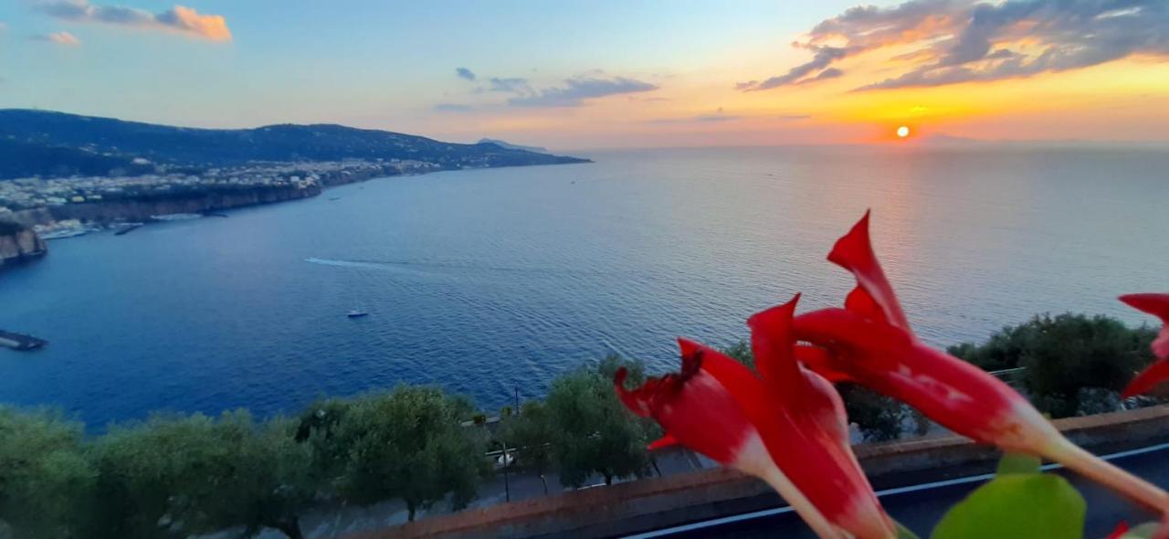 Bella Vista House-Sorrento Coast - Free Parking-Solarium Apartamento Vico Equense Exterior foto