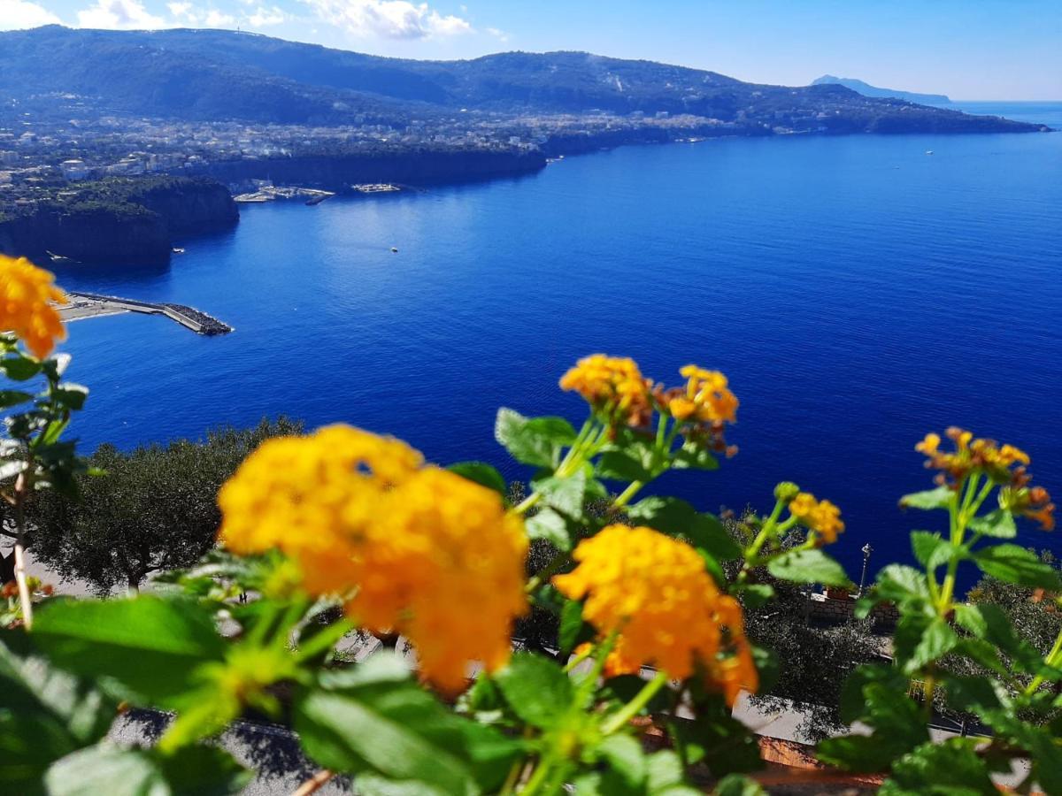 Bella Vista House-Sorrento Coast - Free Parking-Solarium Apartamento Vico Equense Exterior foto
